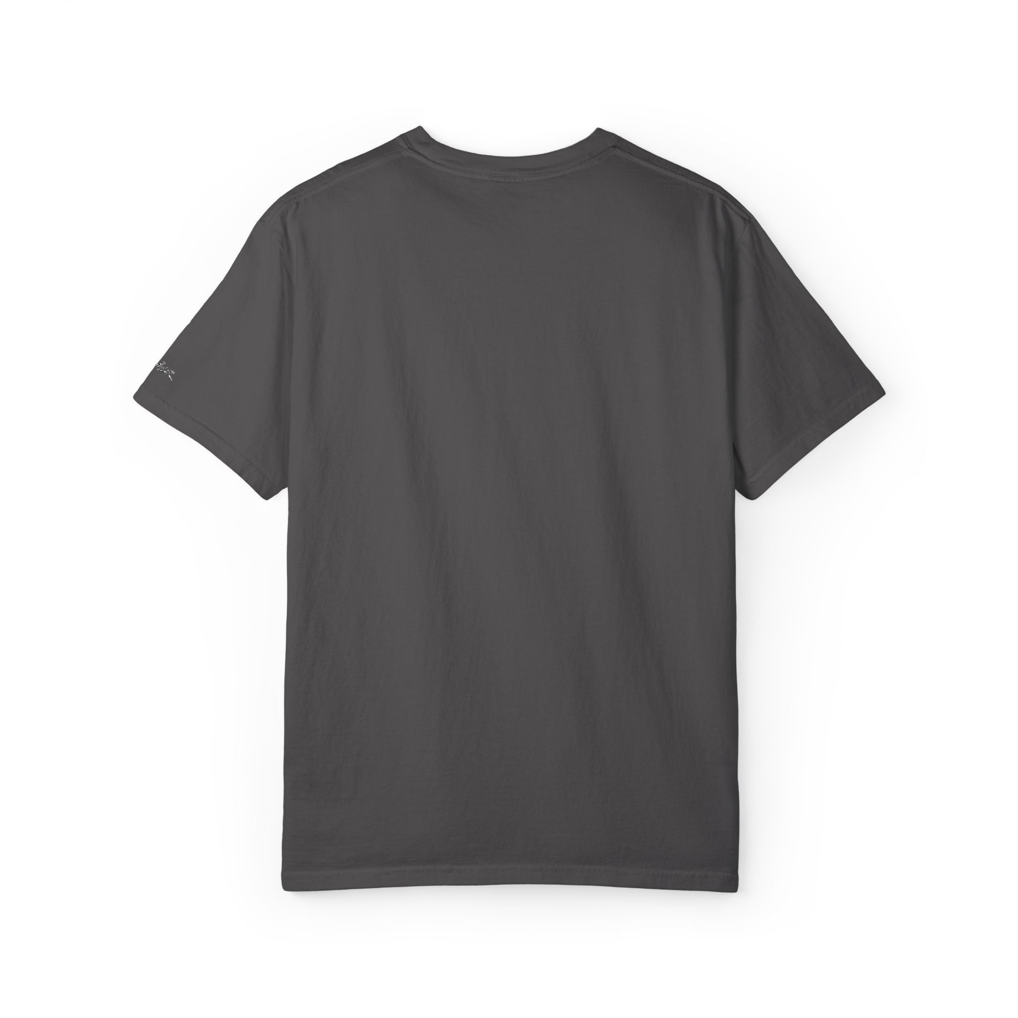 SÄÄLR Classic dark T-shirt