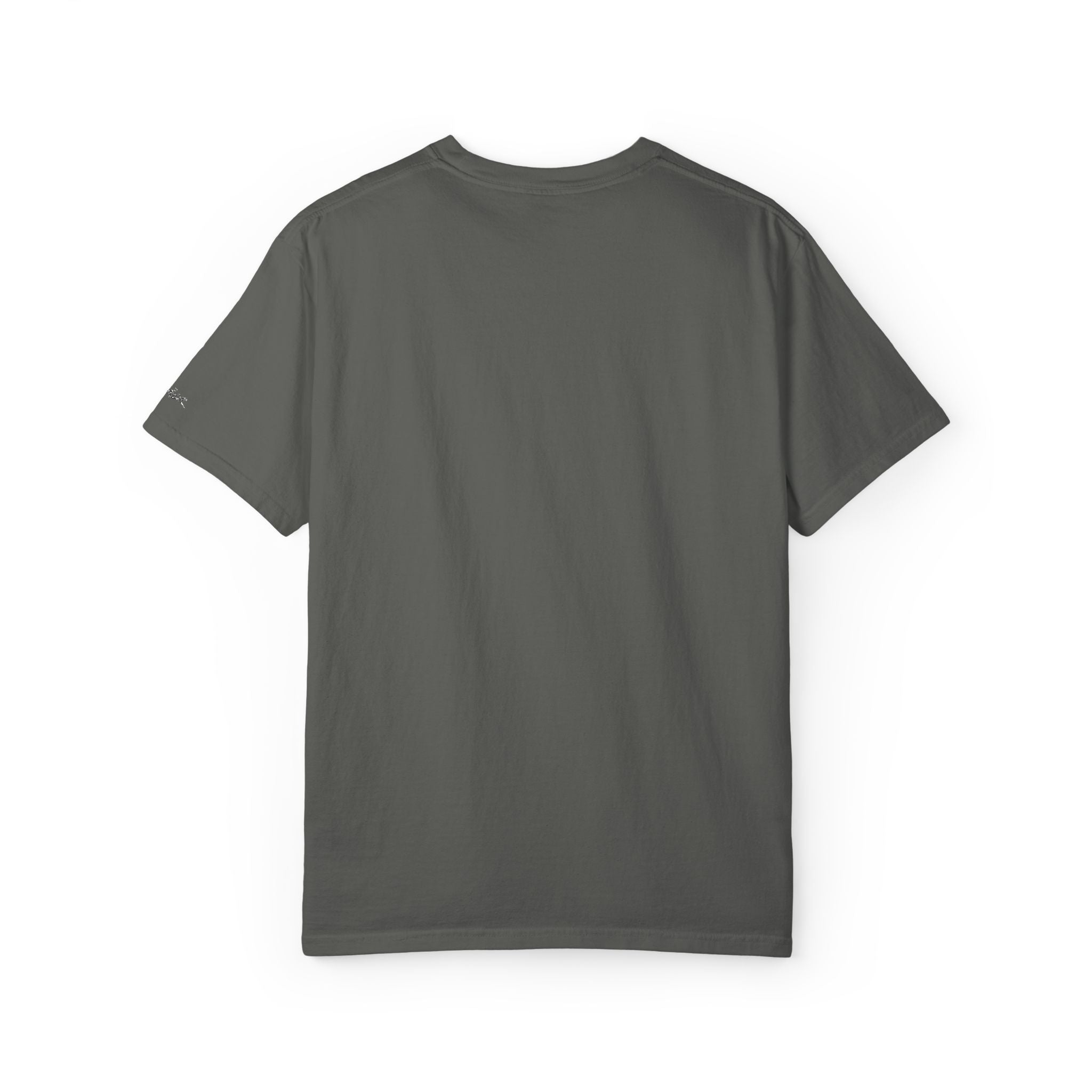 SÄÄLR Classic dark T-shirt